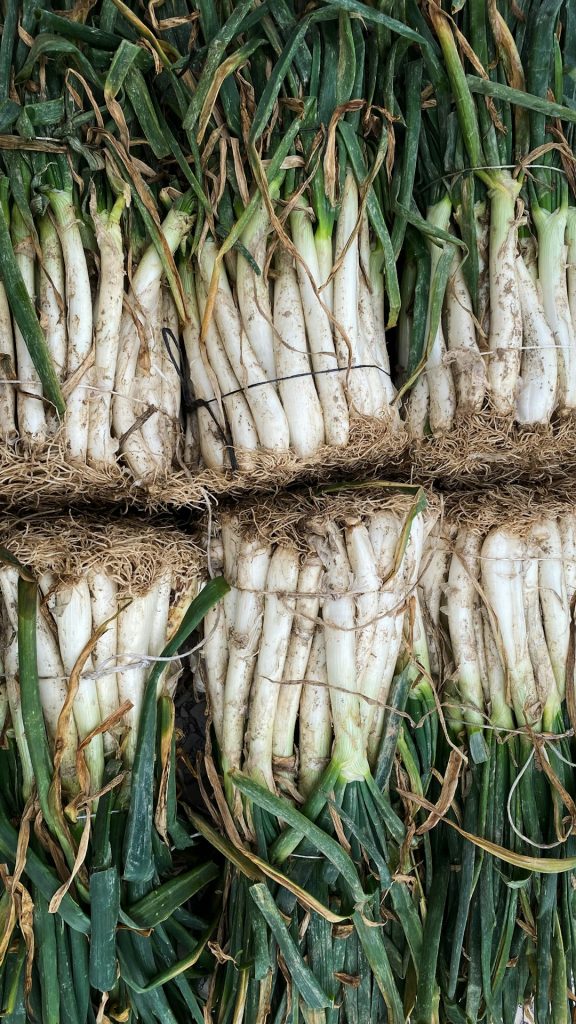 Crafting Captivating Headlines: Your awesome post title goes here Calçots